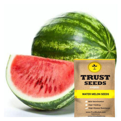 Buy Best Water melon Plant Seeds Online - Water melon seeds (Hybrid)