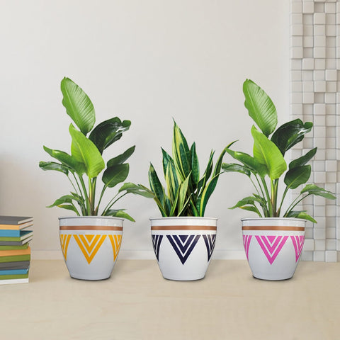 Colorful Designer made planters - Trustbasket Armour Planters (Set of 3)