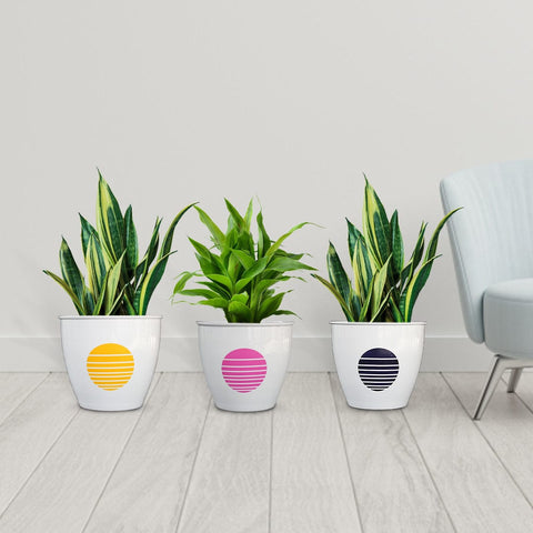 Colorful Designer made planters - TrustBasket Fioni Planter (Set of 3)