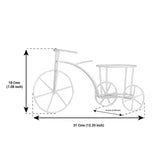 Metal Bicycle with Assorted color Bucket Planter