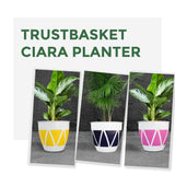 TrustBasket Ciara Planter (Set of 3)