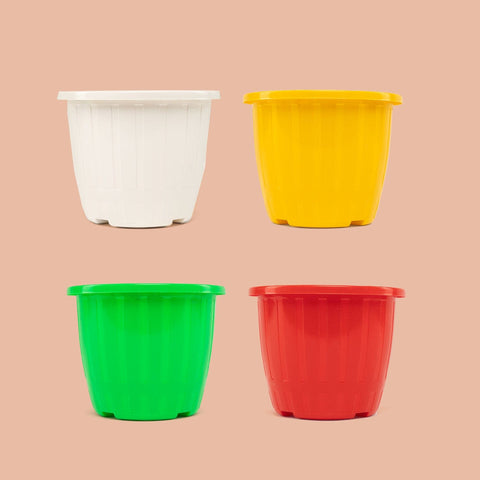 All containers - TrustBasket Lines pot 5 inch