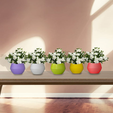 Plastic garden Pots - Adam Self Watering Pot (Set of 5 - Assorted colors)