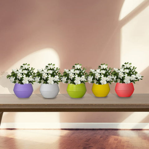 Adam Self Watering Pot (Set of 5 - Assorted colors)
