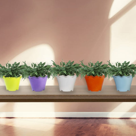 Plastic garden Pots - Jasmine Flower Pot (Set of 5 - Assorted colors)