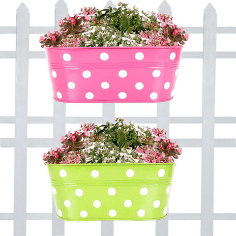 Best Metal Flower Pots in India - Set Of 2-Dotted Oval Railing Planter-(Magenta, Green)