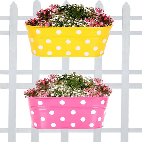 Best Metal Planters in India - Set Of 2 -Dotted Oval Railing Planter- (Magenta, Yellow)