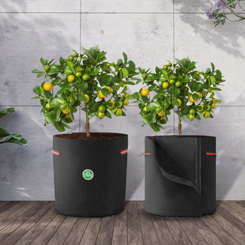 featured_mobile_products - Plant transplanting Felt Grow Bag