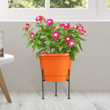 Rory Stand Suitable for 12 inch Pots