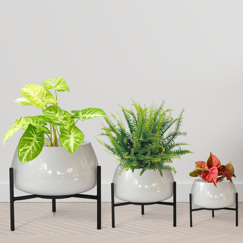 All containers - Indus Planter (Set of 3)