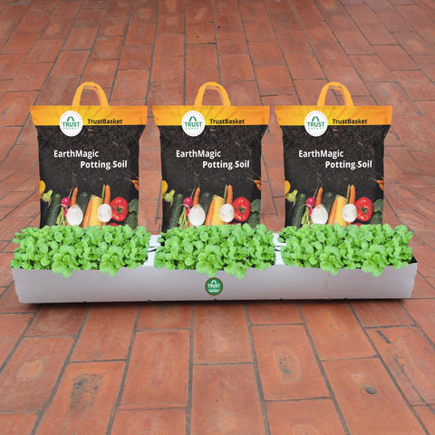 Rooftop Organic Farming Kit