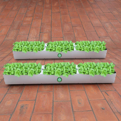 TrustBasket Flexible Grow Container for Leafy Vegetable (Set of 2)