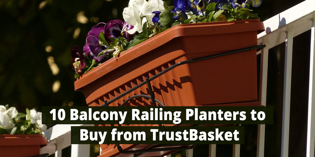 10 Balcony Railing Planters to Buy from TrustBasket