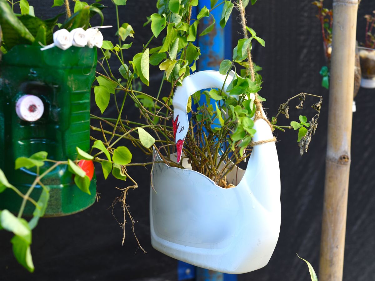 DIY Drip-Water Plants Using Milk Jugs - Birds and Blooms