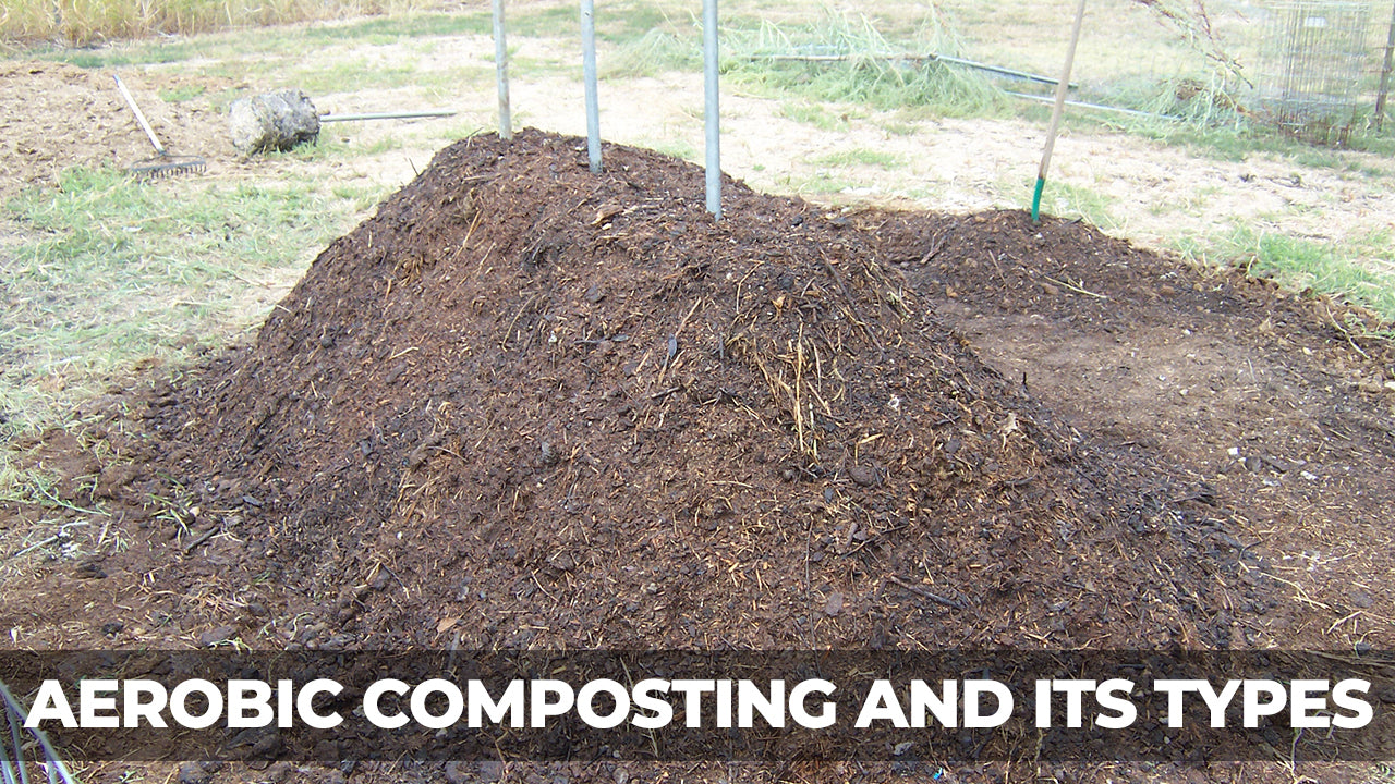 Types of Aerobic Composting and Their Benefits