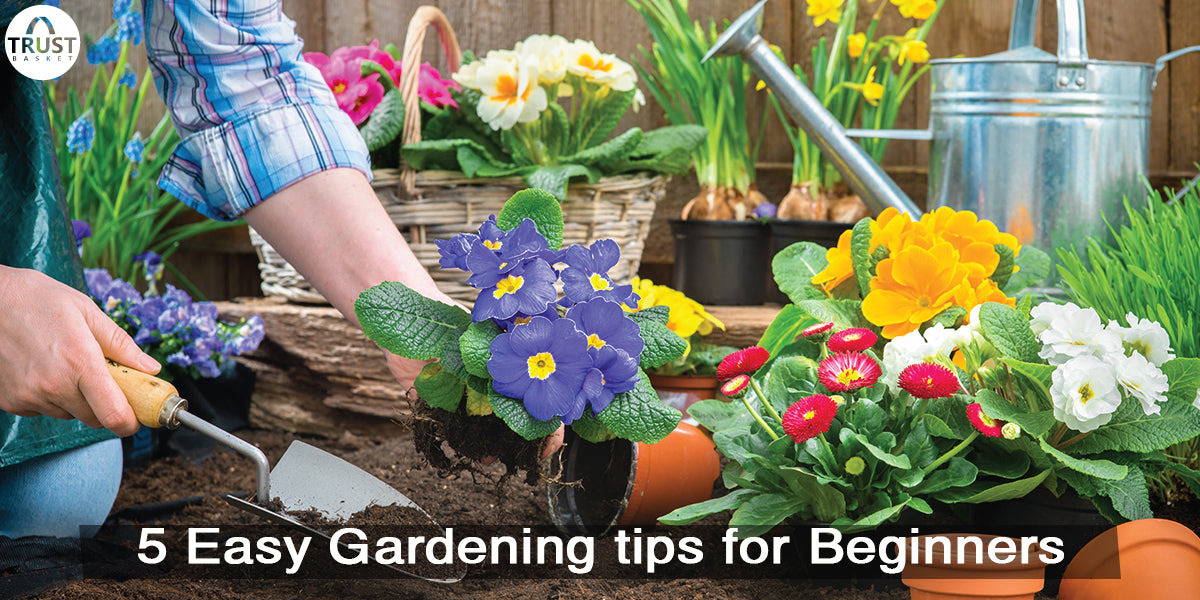 5 Easy Gardening tips for Beginners