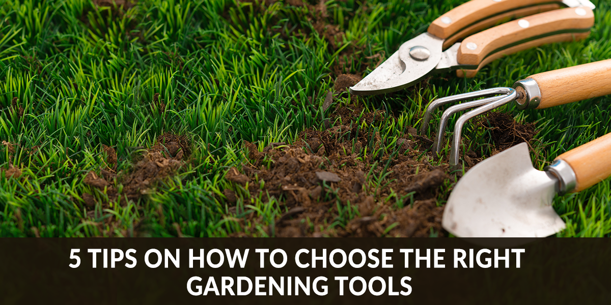 5 Tips On How To Choose The Right Gardening Tools