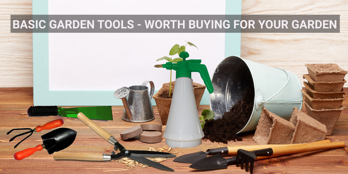 Basic garden tools - worth buying for your garden