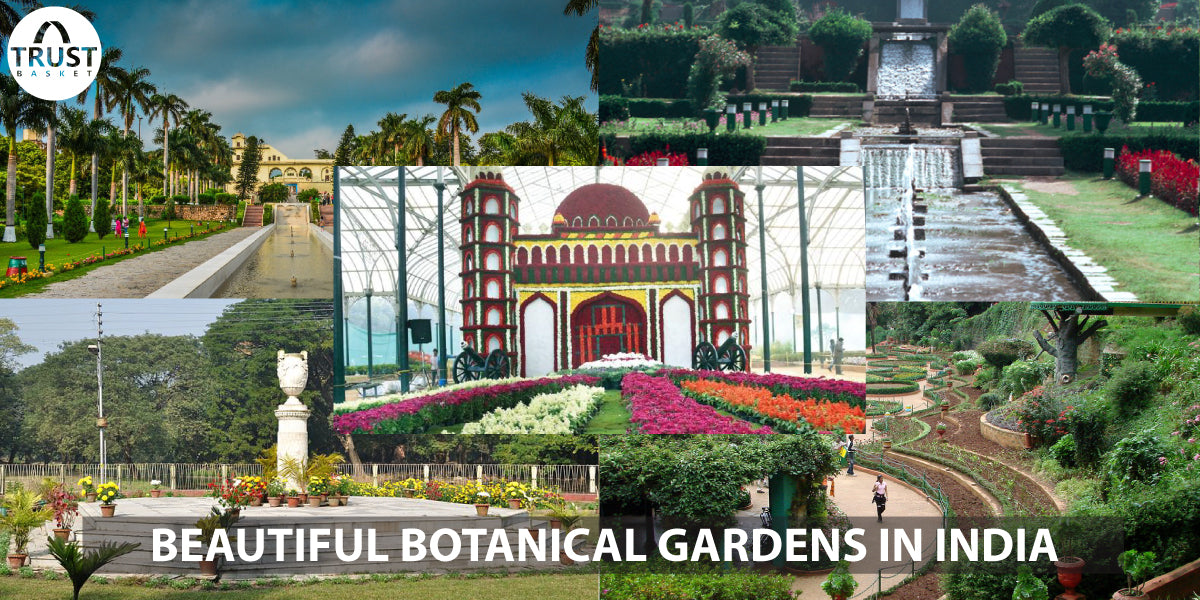Beautiful Botanical Gardens in India