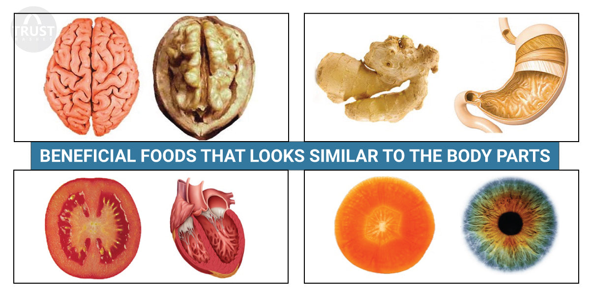 Beneficial foods that looks similar to the body parts