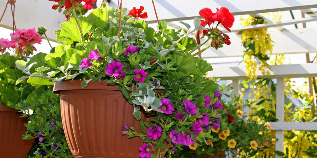 Know All About the Different Types of Flower and Plant Pots