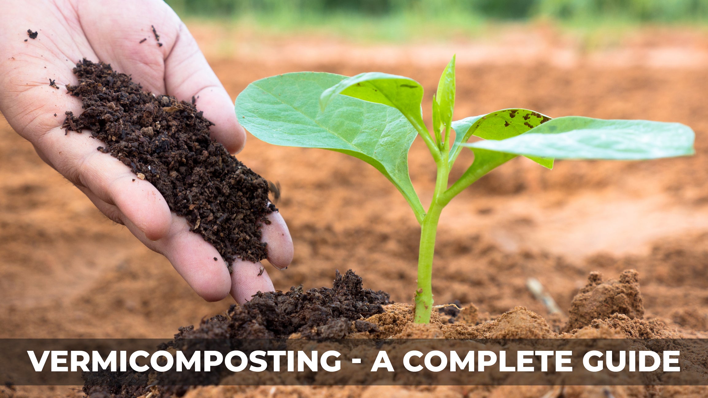 Vermicomposting - A Complete Guide | Process | Preparation | Advantages | Disadvantages | FAQ’s