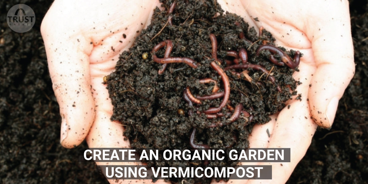 Create an Organic Garden using Vermicompost