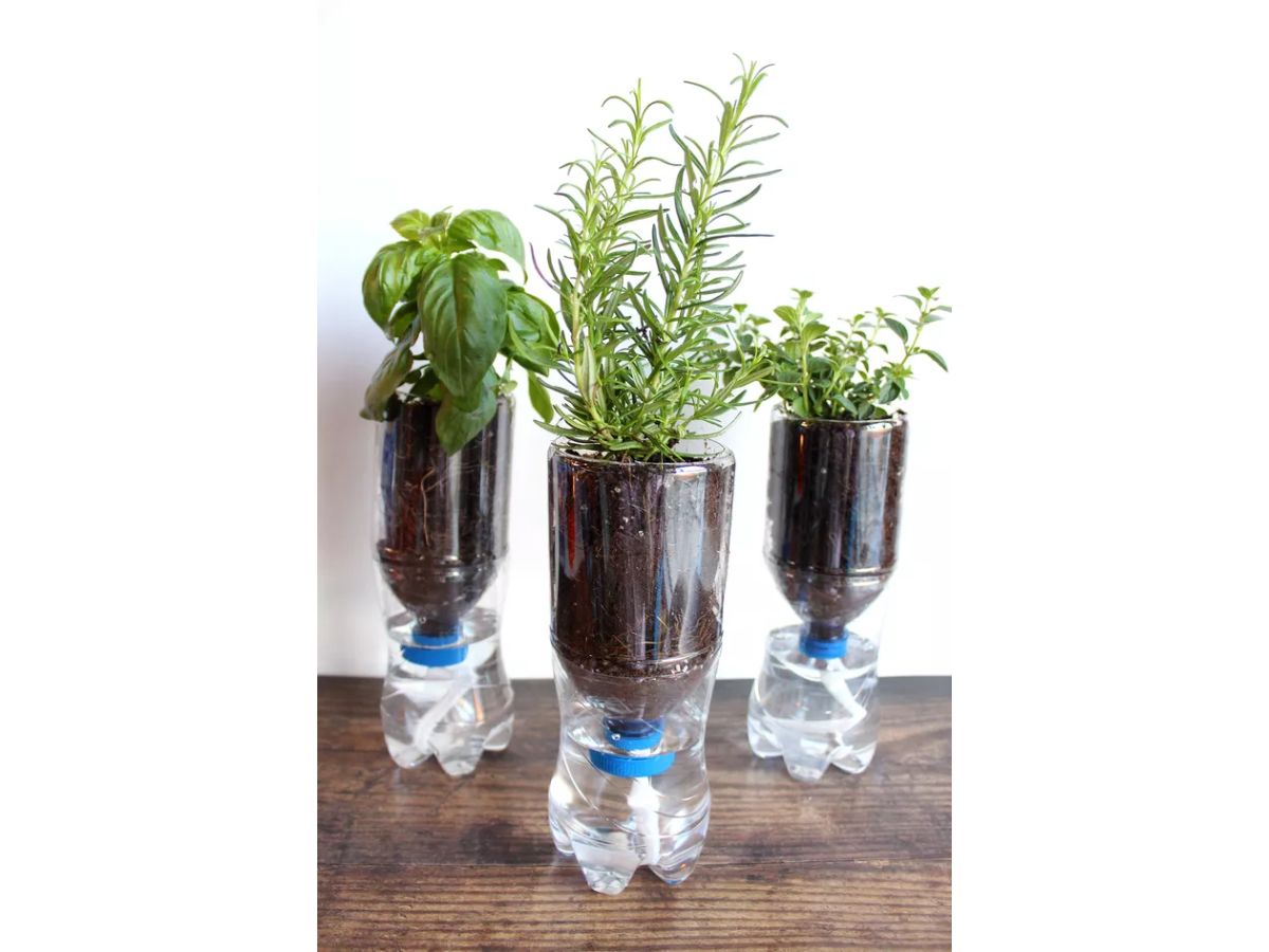 Green Plant Spray Bottle - Cute Plastic Spray Bottle - Gardening Tools by Succulents Box