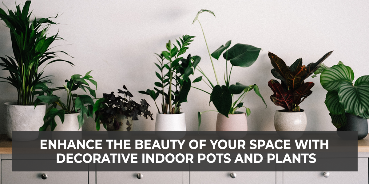 Enhance the Beauty of Your Space with Decorative Indoor Pots & Plants