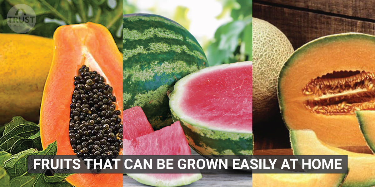 Fruits that can be grown easily at home