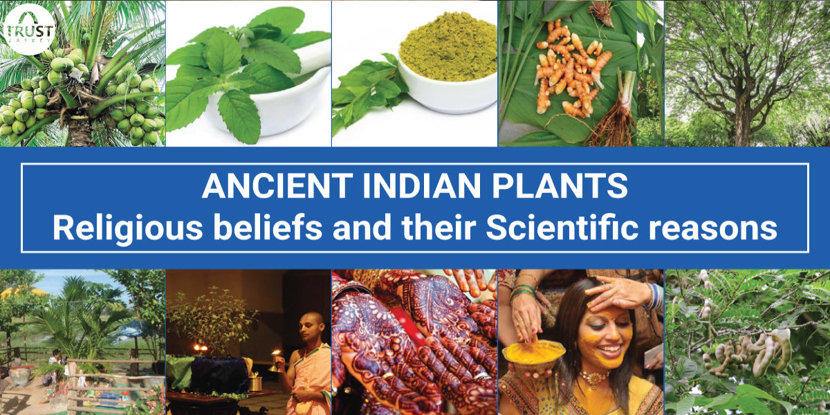 ANCIENT INDIAN PLANTS - Religious beliefs and their Scientific reasons