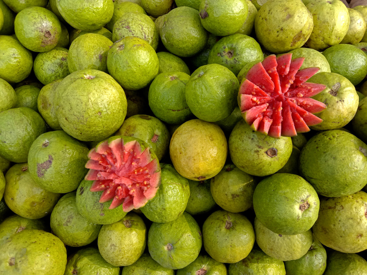 Red Guava: A Complete Guide On Growing Techniques, Benefits, And Care Tips