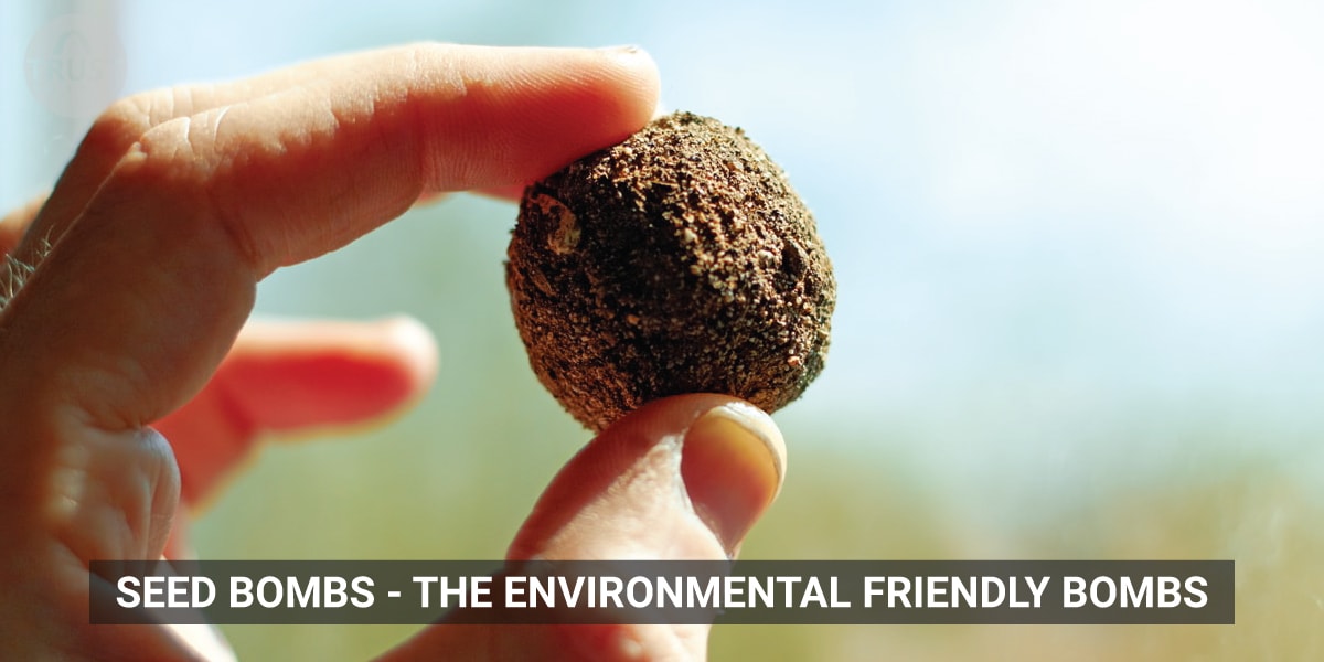 Seed bombs - The environmental friendly Bombs