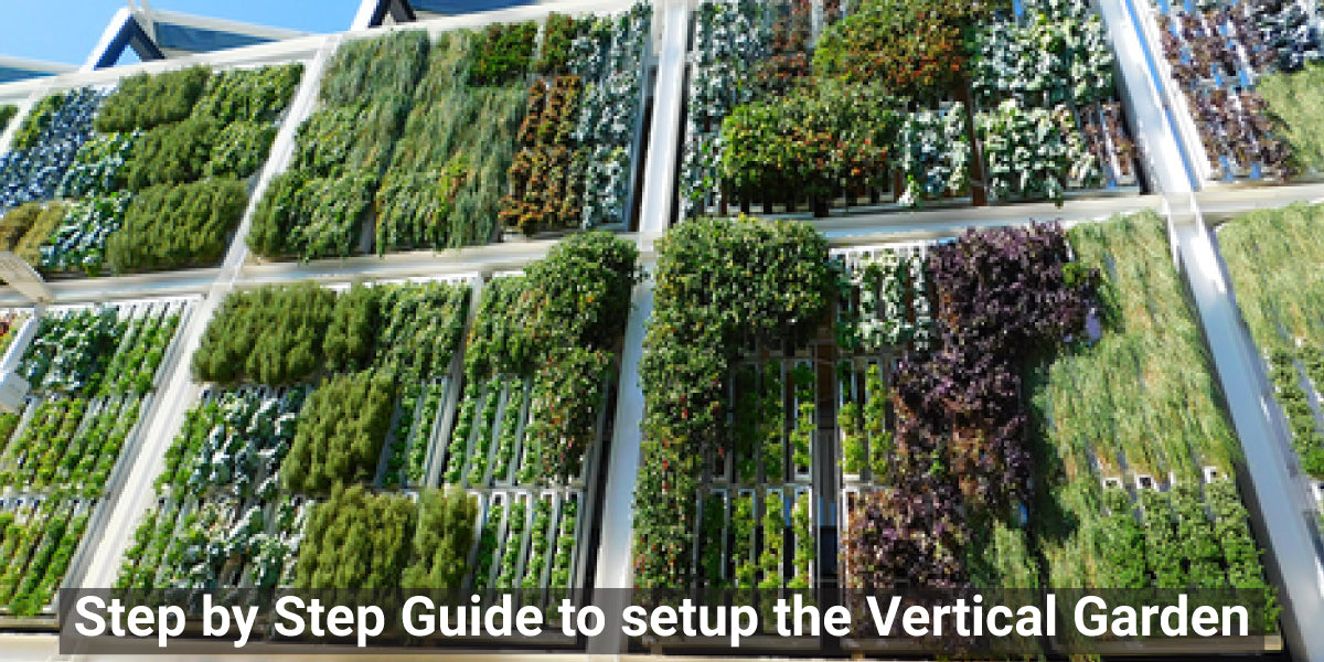 Step by Step Guide to setup the Vertical Garden