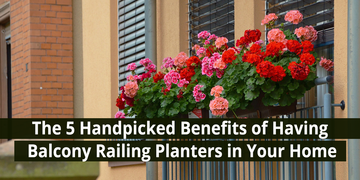 The 5 Handpicked Benefits of Having Balcony Railing Planters in Your Home