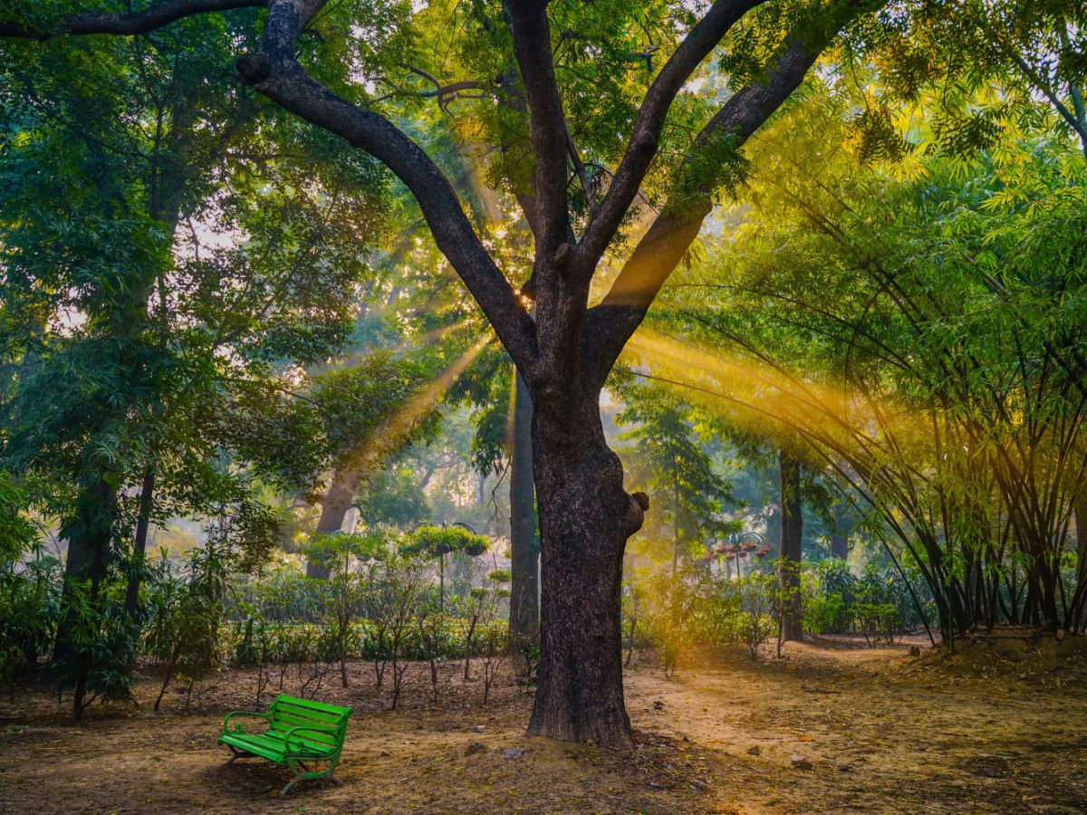 These Famous Gardens & Parks In India Offer a Blissful Natural Retreat