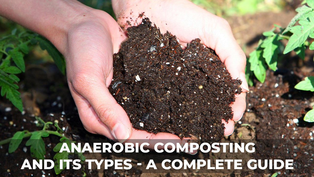 Types of Anaerobic Composting and Their Pros & Cons of This Eco Friendly Approach