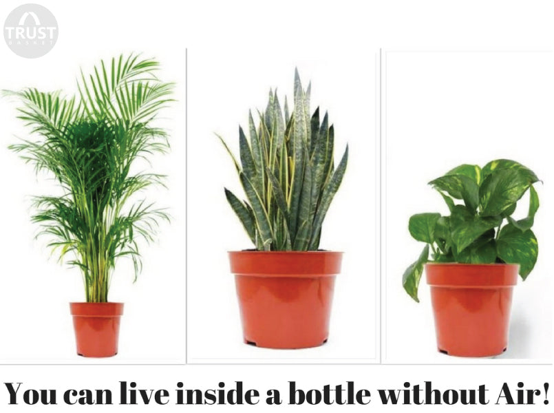 You can live inside a bottle without Air!!! Have a look at this fantastic study.