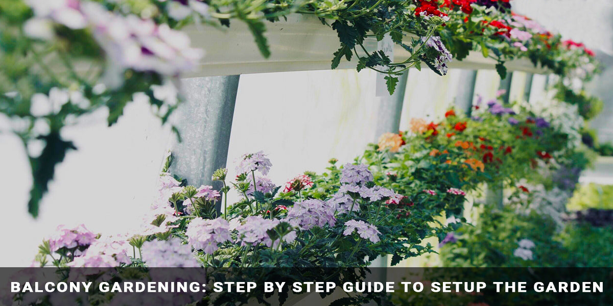 Balcony Gardening: Step by Step Guide to setup the Garden