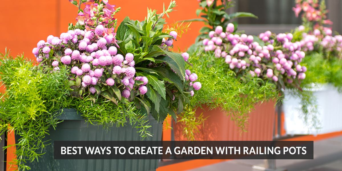 Best Ways to Create a Garden with Railing Pots