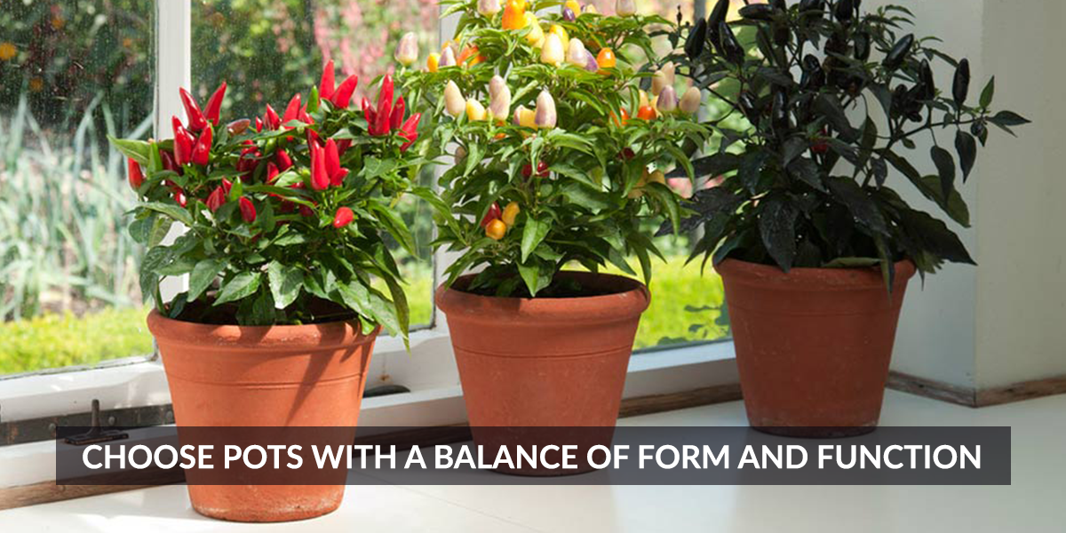 Choose Pots with a Balance of Form and Function – TrustBasket