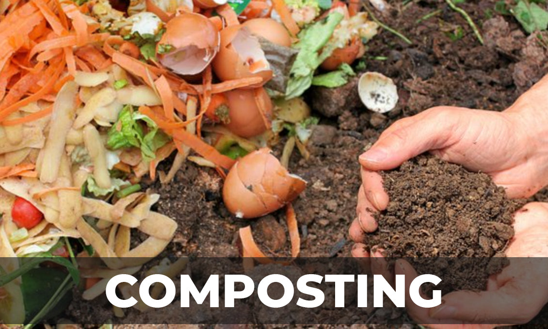 How to make Compost at home | Benefits | Methods | Advantages | Disadvantages