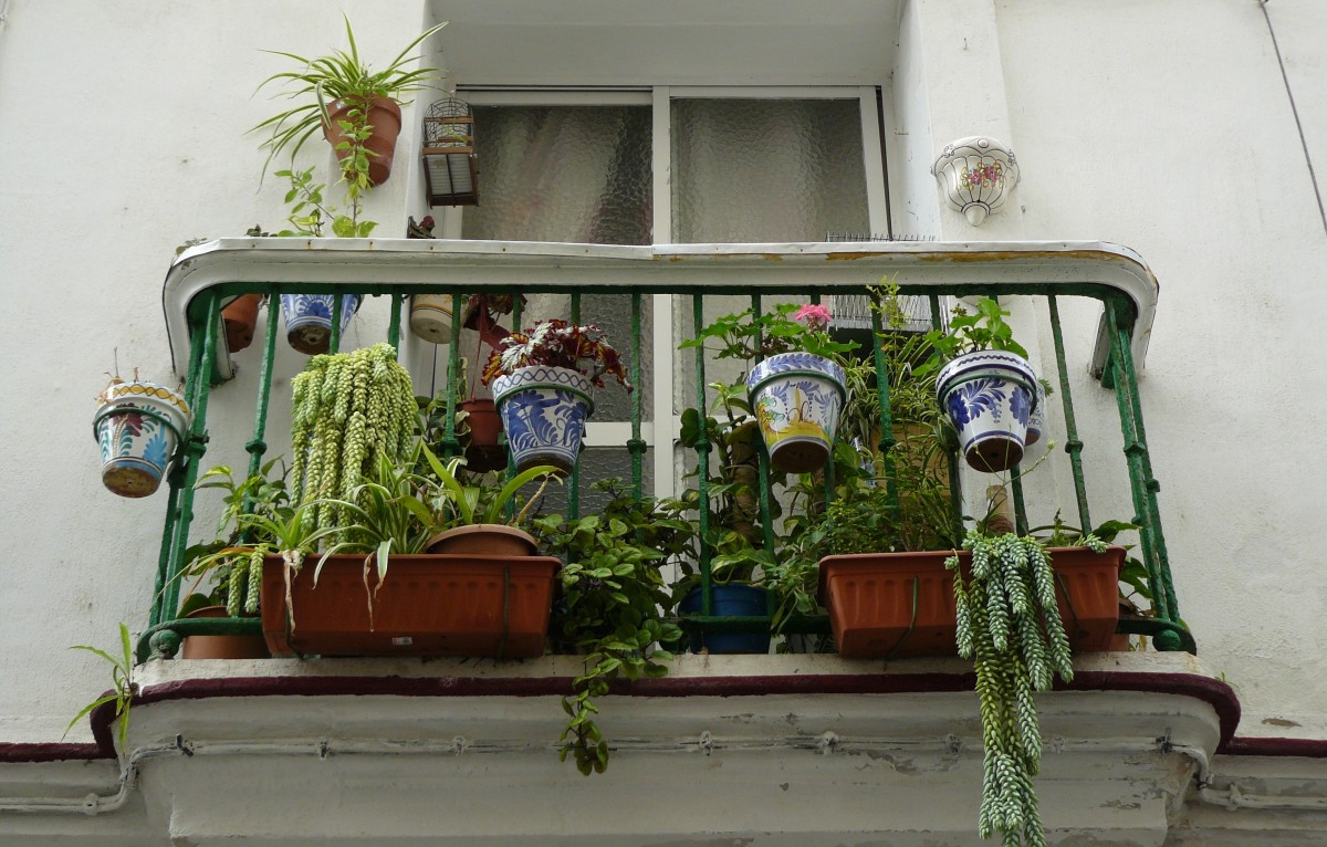 The Benefits of Outdoor Hanging Plants