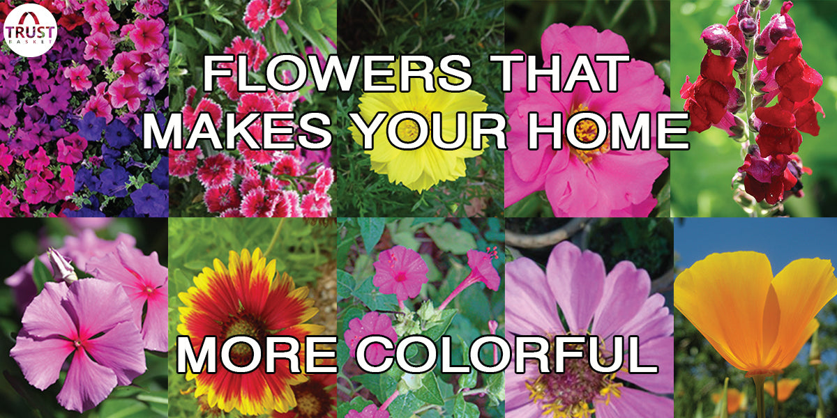 Top listed perennial flowers which make your garden more beautiful this season
