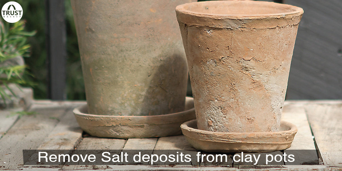 How to remove salt deposits from clay pots?