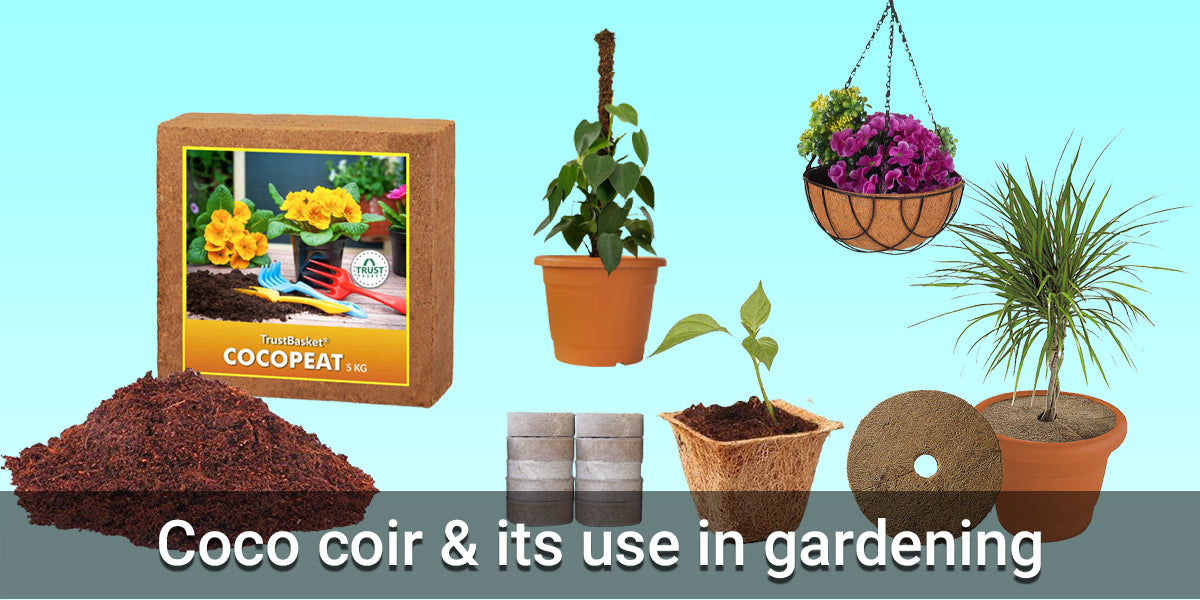 How to use Coco peat / Coco coir for plants