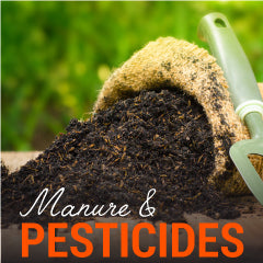 Best Potting Soil Mix in India