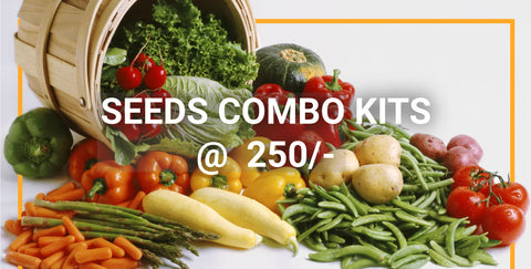 Seeds Combo Kits