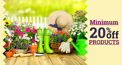 Minimum 20% Off