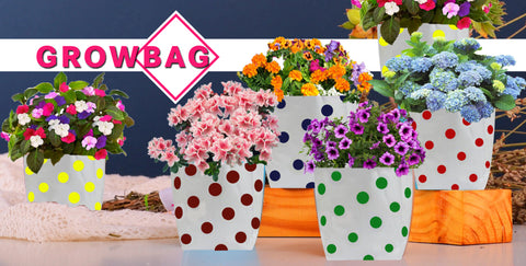 Best Garden Grow Bags in India